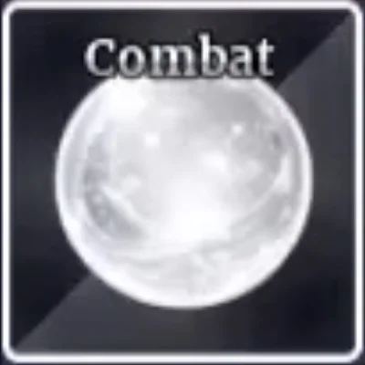 Combat Fighting Style